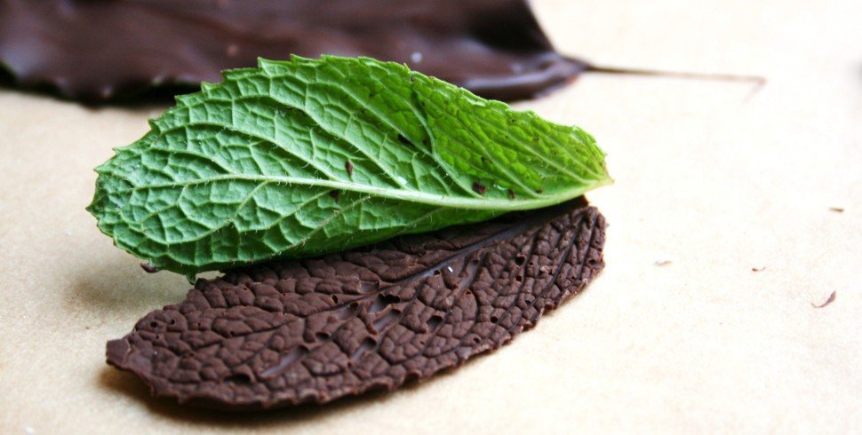 Chocolate Mint Leaves
