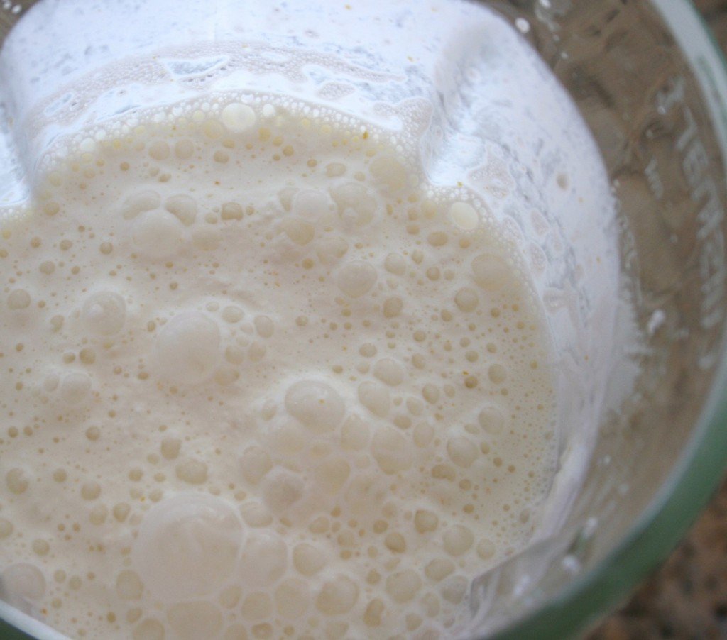 LemonShake5
