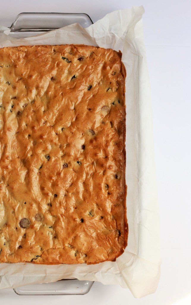 Cherry Orange Chocolate Blondies (8)