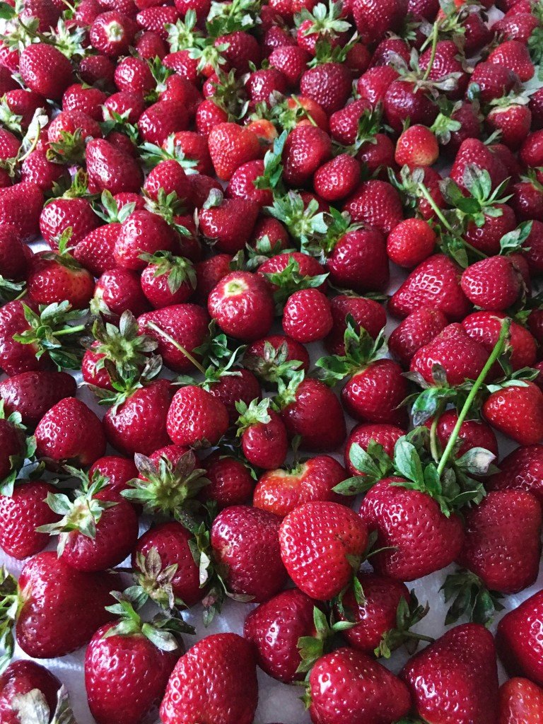 Strawberry Lemonade Cheesecake0b